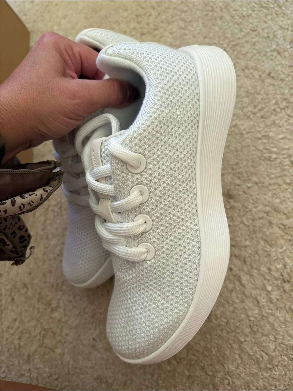 allbirds womens blizzard Knit Sneakers
